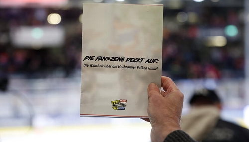 Heilbronner Falken und Fanszene Heilbronn: Kritik und Forderungen