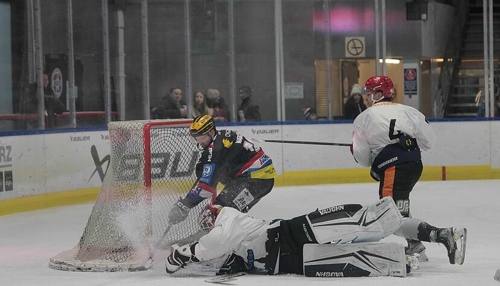 Eishockey in Heilbronn: HEC Eisbären auf Erfolgskurs