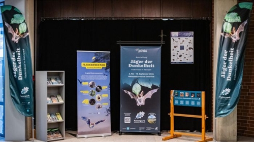 Einzigartige Weinlandschaften im Landkreis Ludwigsburg und Heilbronn