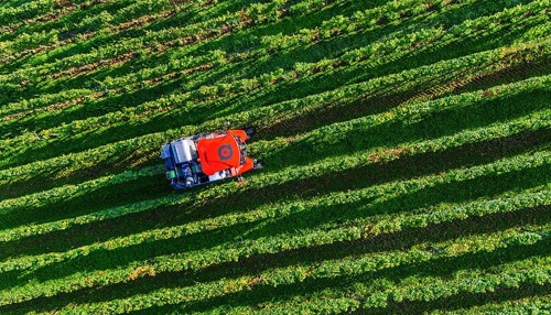 Weniger Weinbau in Baden-Württemberg