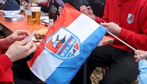 Insolvenz der Heilbronner Falken: Herausforderungen bei der Investorensuche