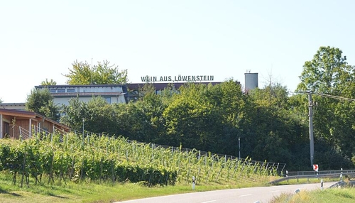 Führungsquartett an der Spitze der Weingärtnergenossenschaft