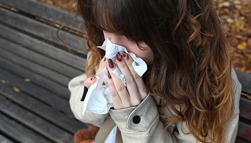Hohe Nachfrage nach Heuschnupfen-Medikamenten in Heilbronn