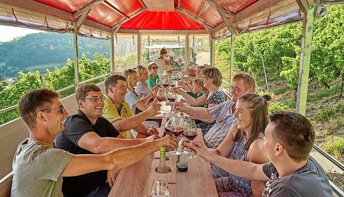 Erlebnisorte in Heilbronn: Weinberg-Touren und Verkostungen