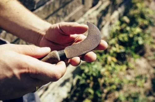 Nachhaltiger Wein aus Oberderdingen: Weingut Vinçon-Zerrer