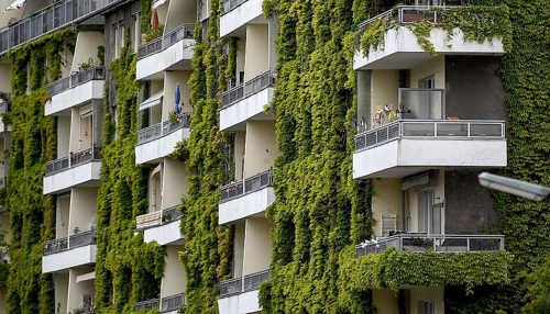 Grüne Fassaden: Efeu und Wilder Wein als natürliche Verschönerung