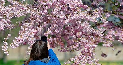 Wetter am Wochenende: Auswirkungen auf den Weinbau in Heilbronn