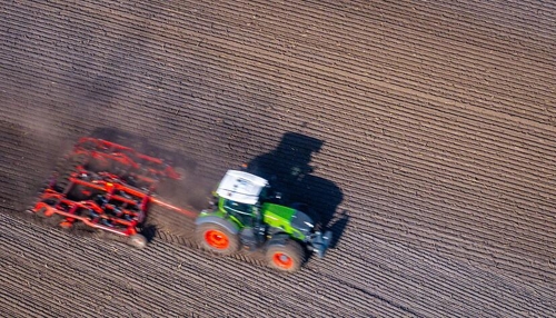 Herausforderungen für den Weinbau durch steigende Löhne