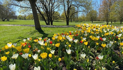 Sport und Erholung im Wertwiesenpark Heilbronn