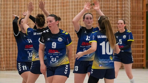 SV 03 Tigers Tübingen gegen TSG Heilbronn Reds: Regionalliga Männer Spielankündigung