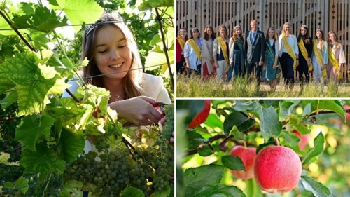 Lang lebe die Königin: Frauen im Weinbau in Baden-Württemberg