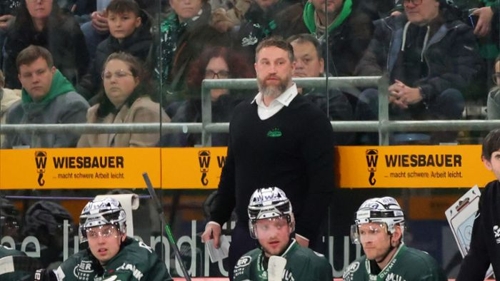 Eishockey: Bietigheim Steelers stellen Trainer Alexander Dück frei