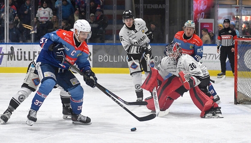 Heilbronner Falken: Entwicklungen in der Oberliga Süd