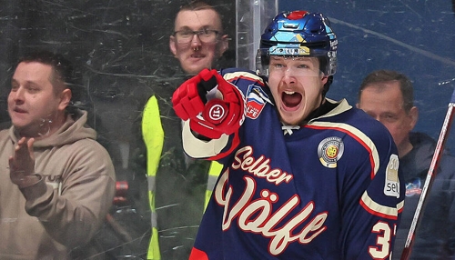 Transfercoup der HEC Falken: Thomas Gauch wechselt nach Heilbronn