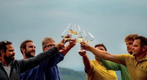 Weingut Heitlinger: Online-Shop für Weine