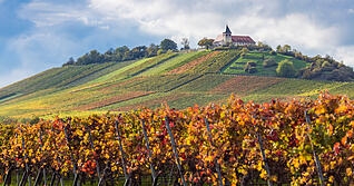 Tourismus in Heilbronn: Wein und Radfahren als Zugpferde